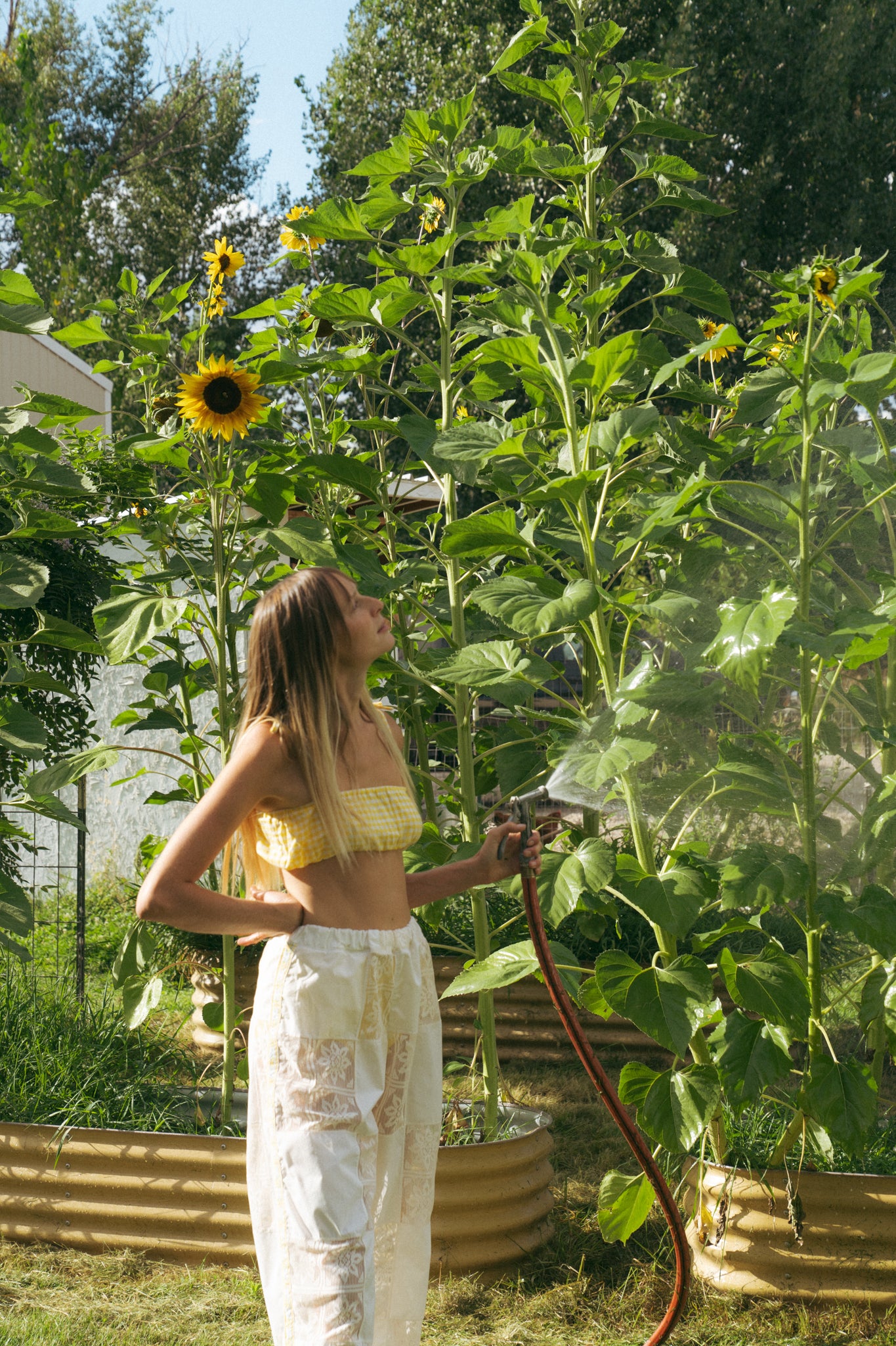 Secret Garden Track Pant