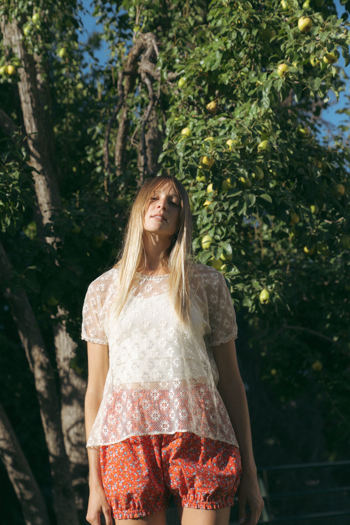 The Prairie Bloomers