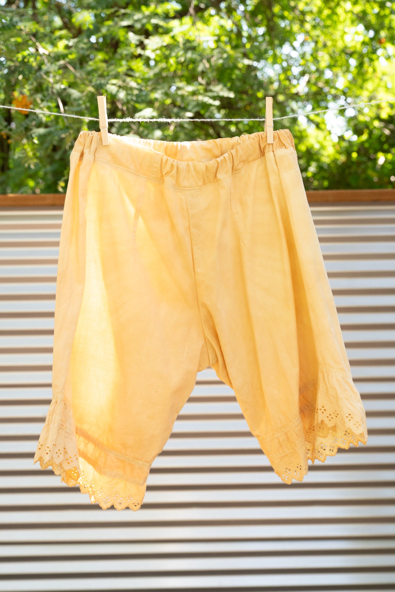 Honeyfield Bloomers