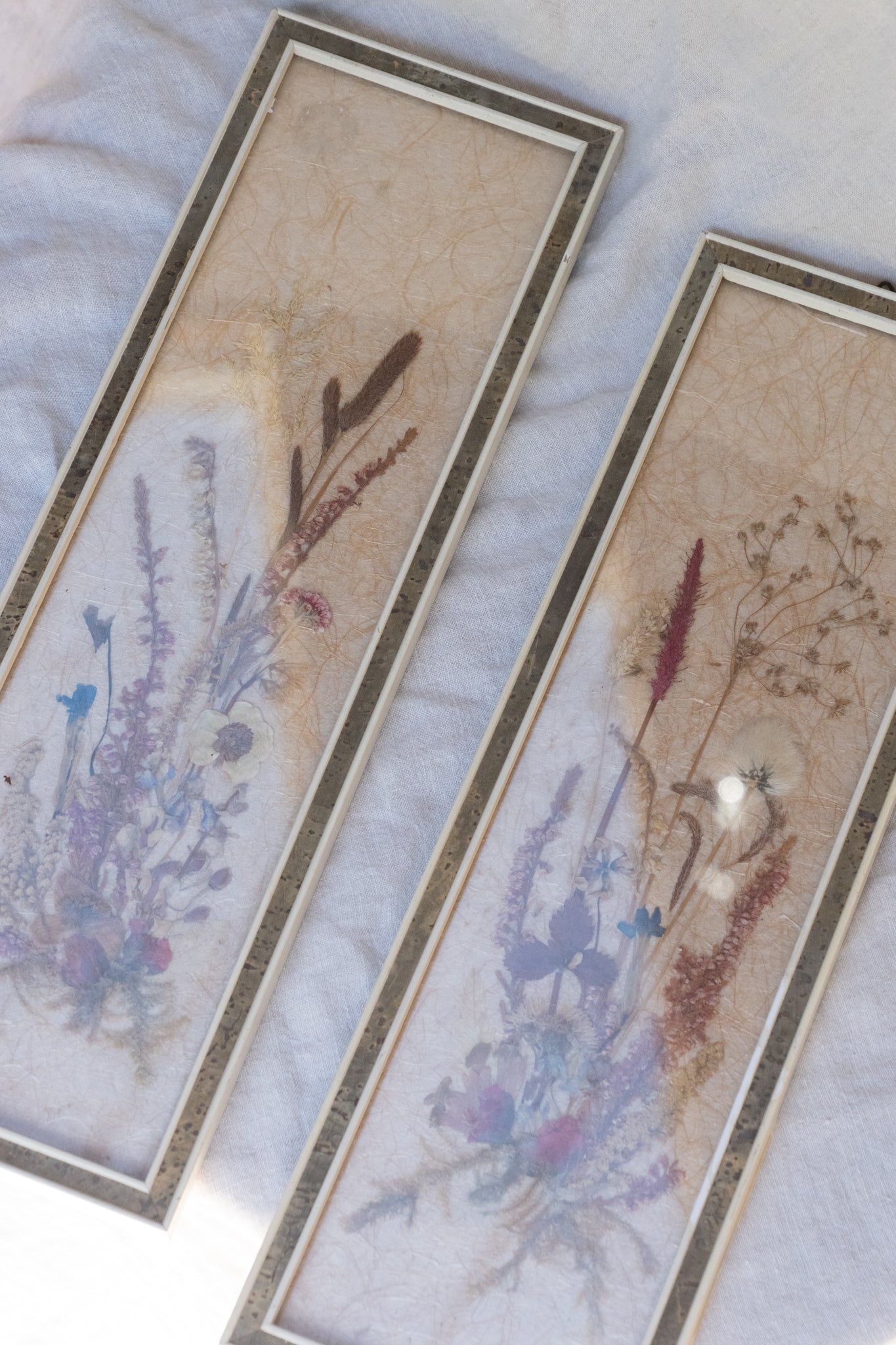 Pressed & Preserved Frame Set