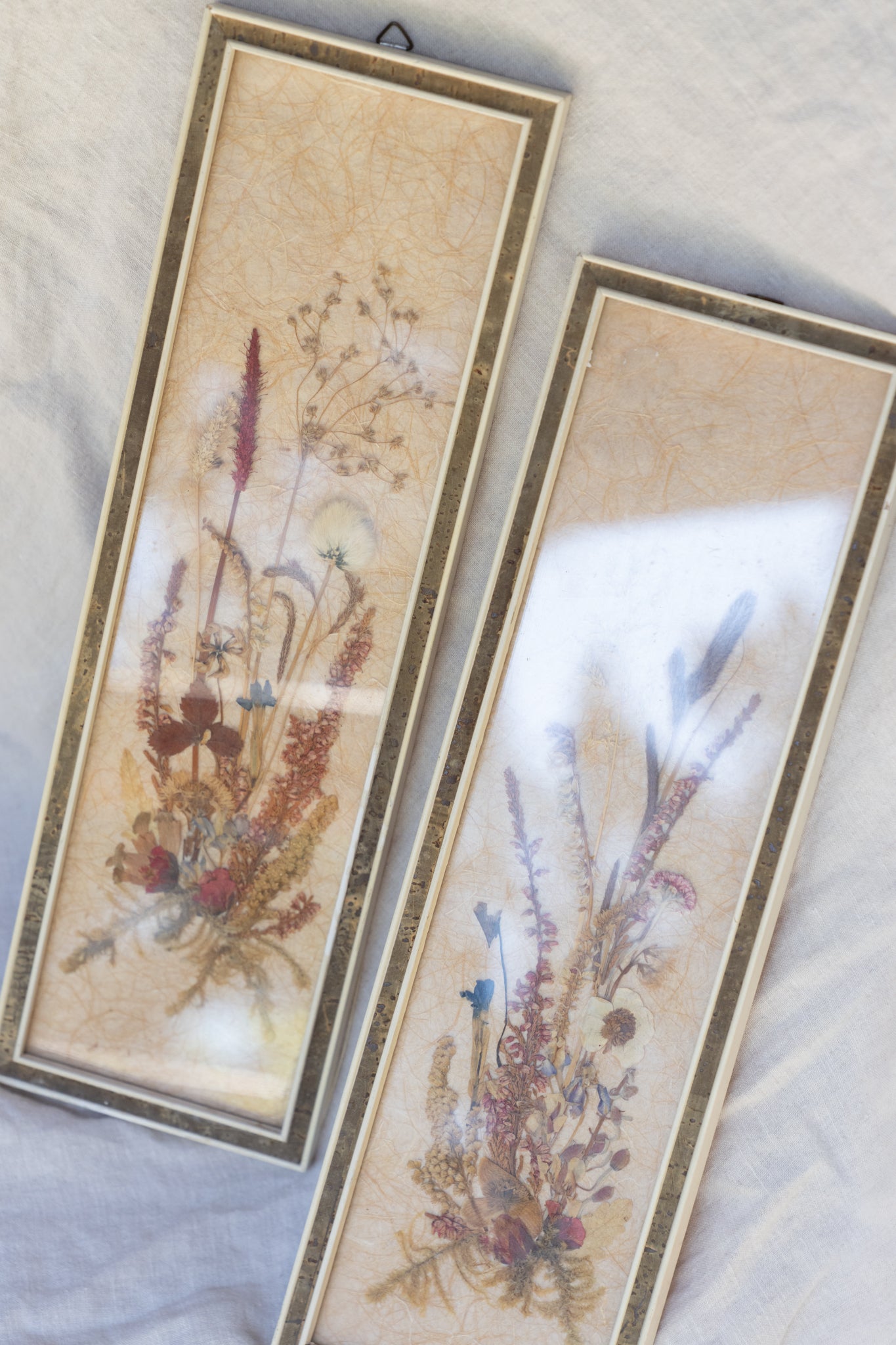 Pressed & Preserved Frame Set