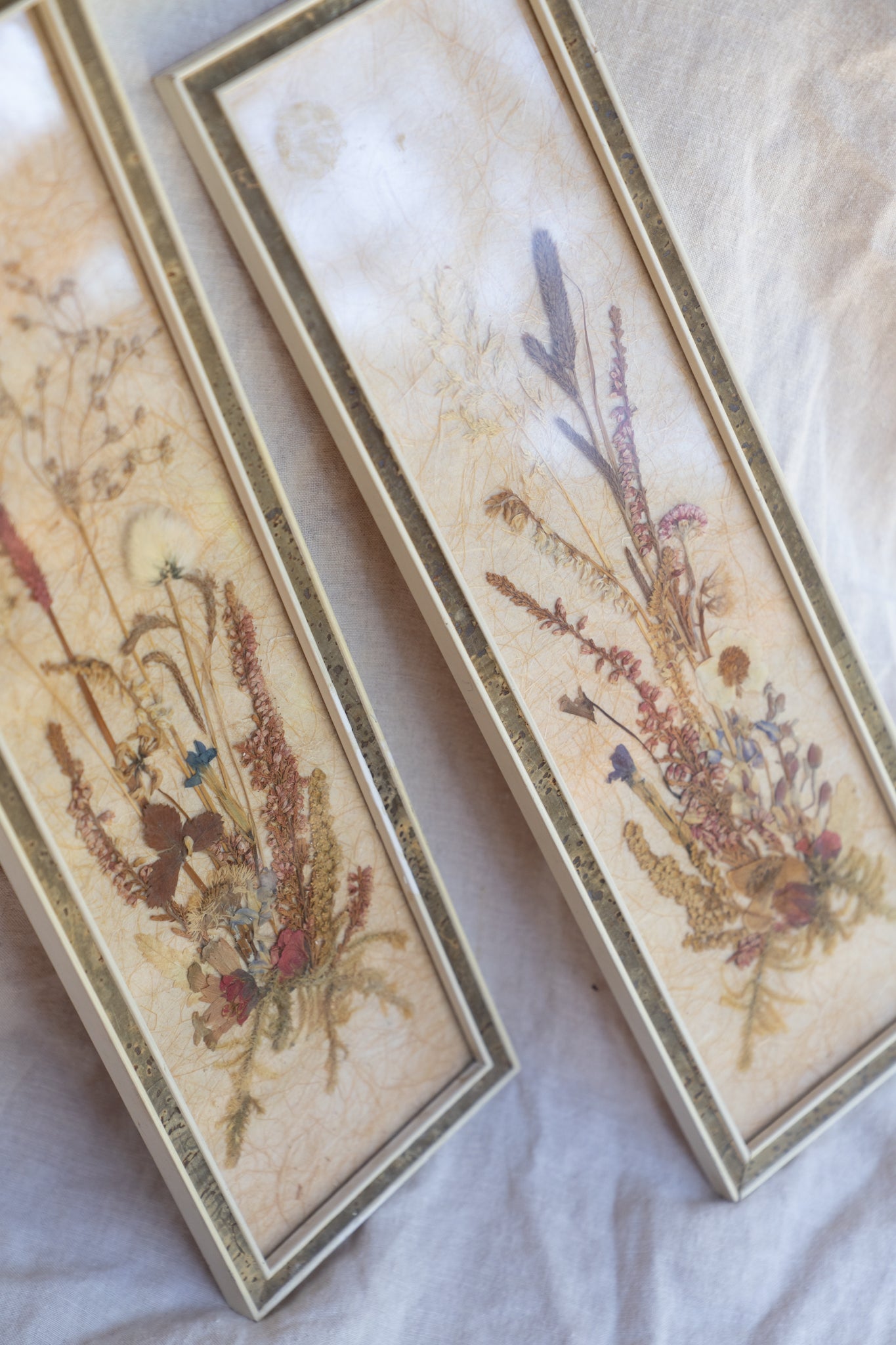 Pressed & Preserved Frame Set