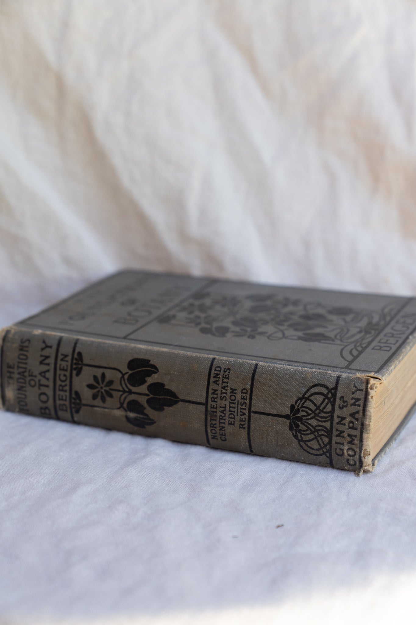 1901, The Foundations of Botany Book