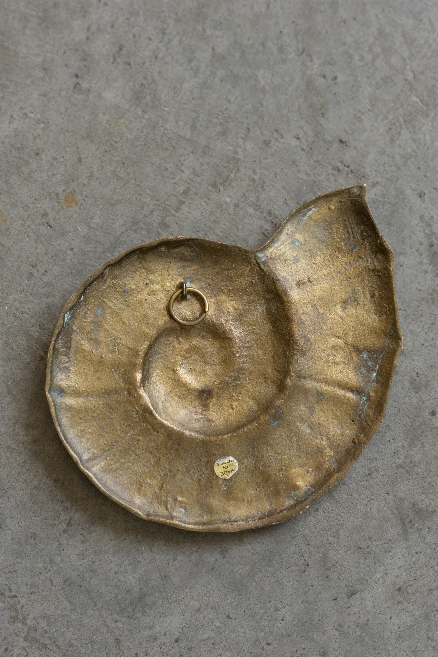 Brass Nautilus Wall Plaque