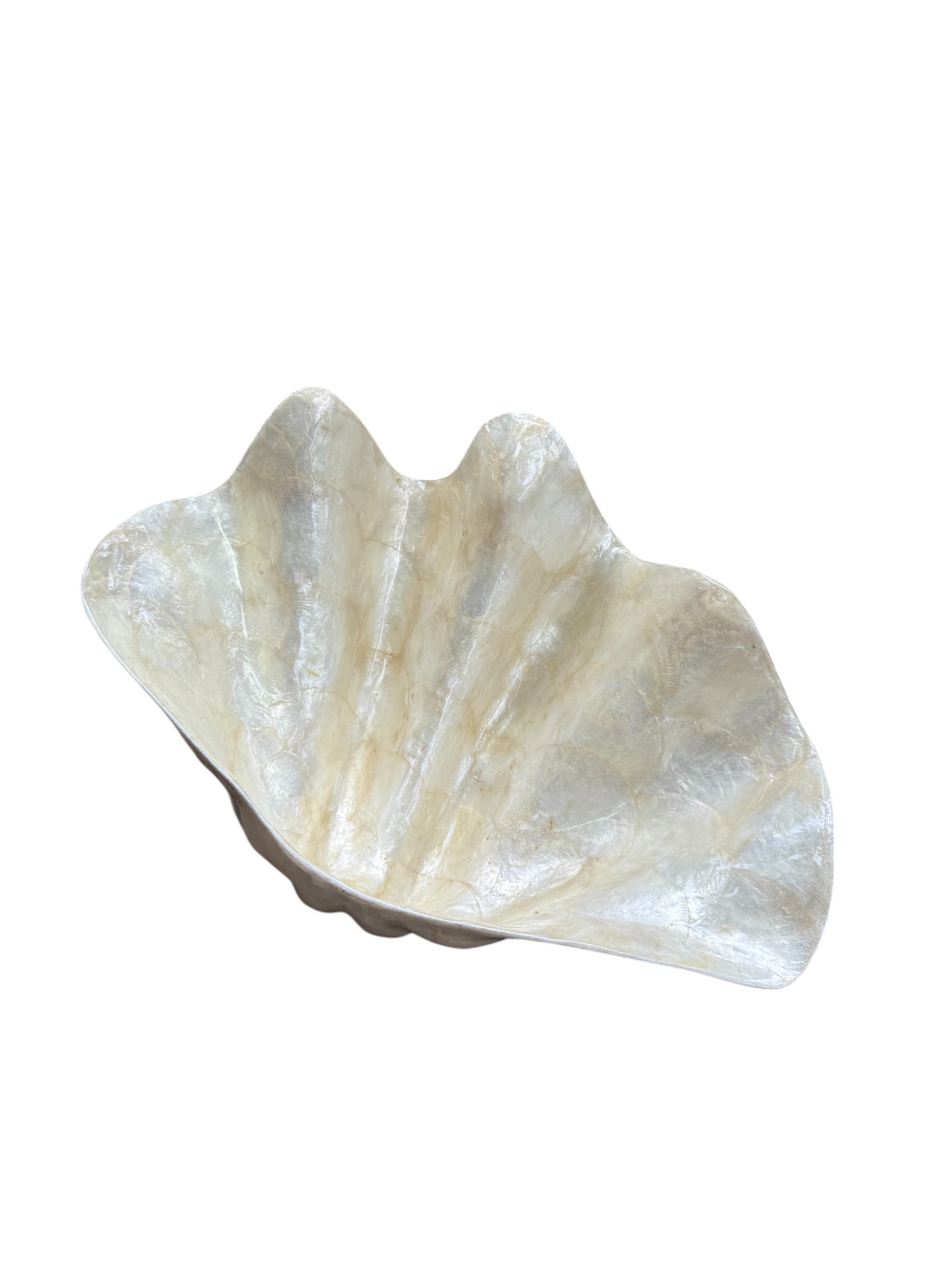 Capiz Shell Decorative Bowl