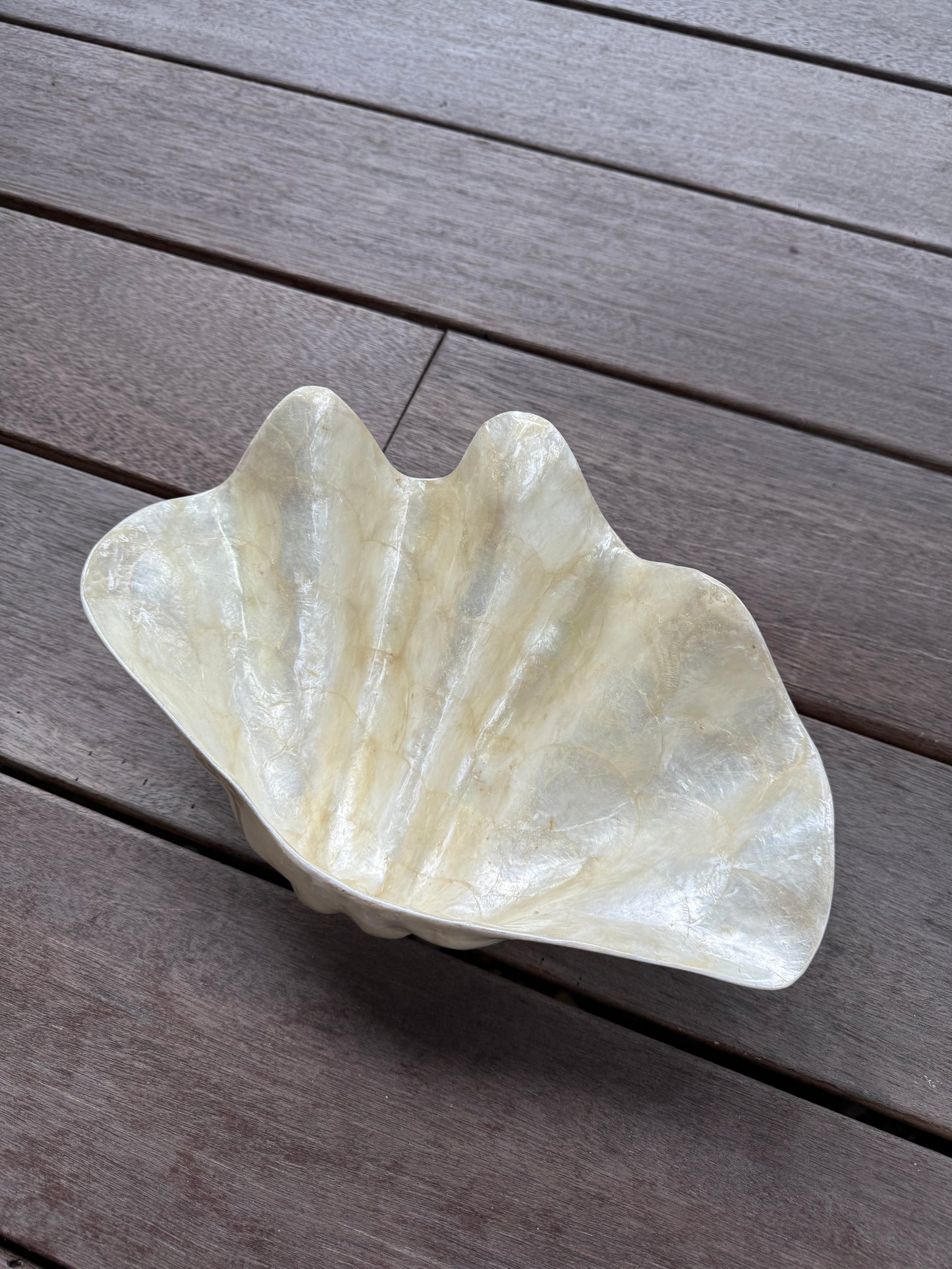 Capiz Shell Decorative Bowl