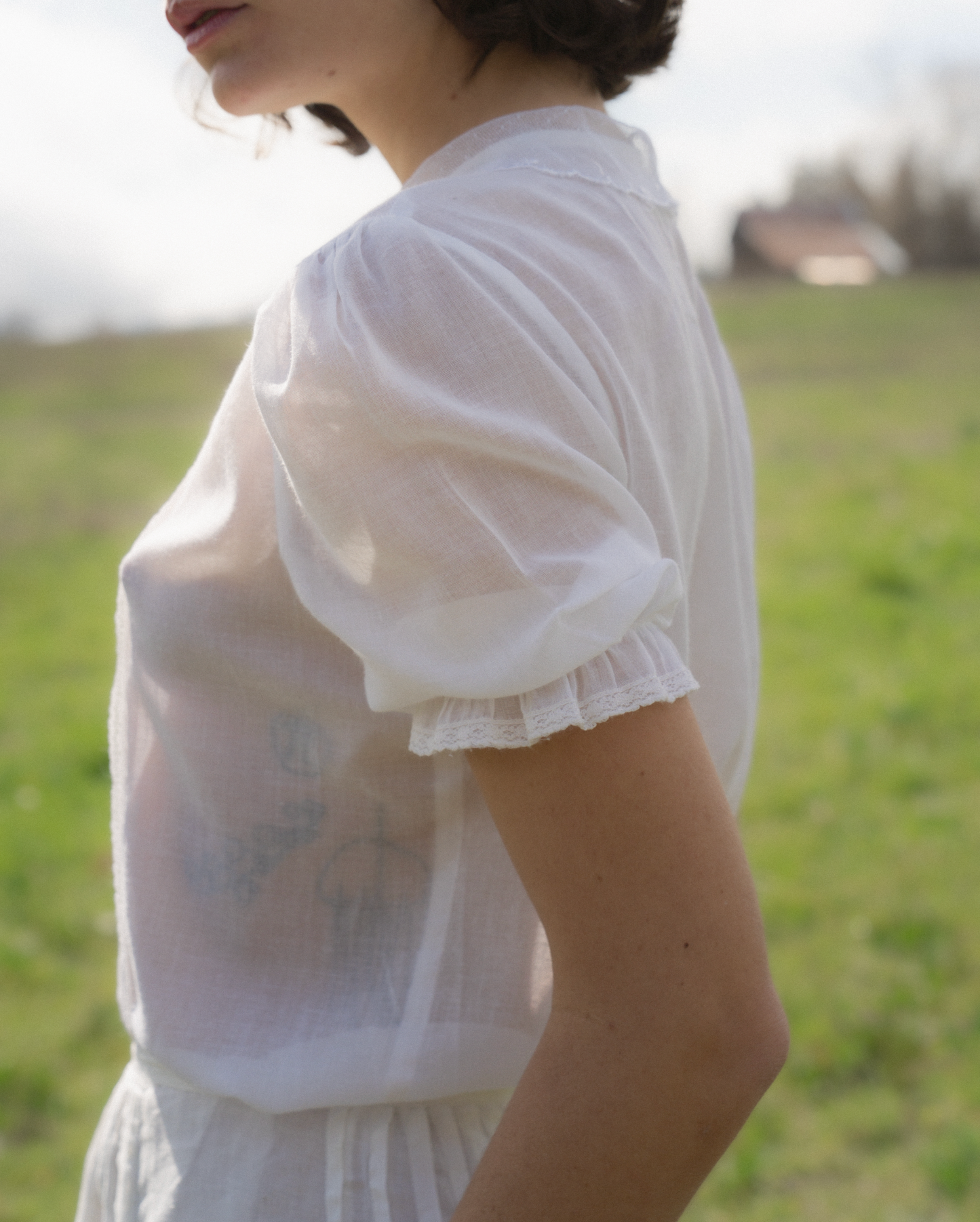 Lace Collared Blouse