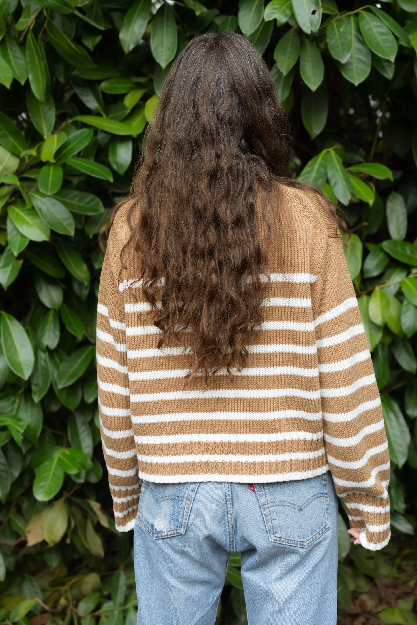 Cotton Striped Sweater