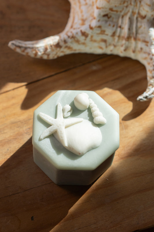 Sea Shell Trinket Box