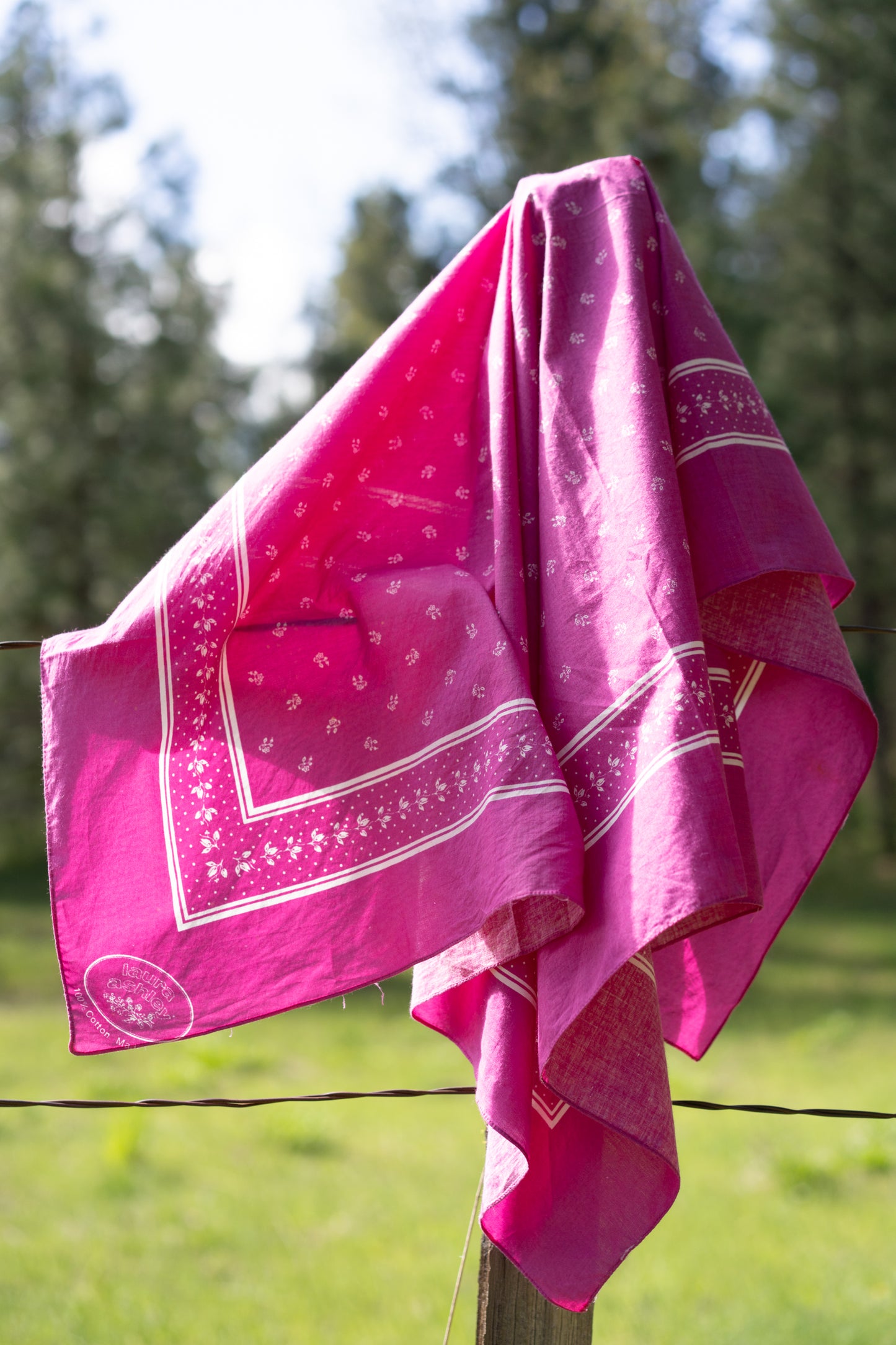 Laura Ashley Cotton Scarf