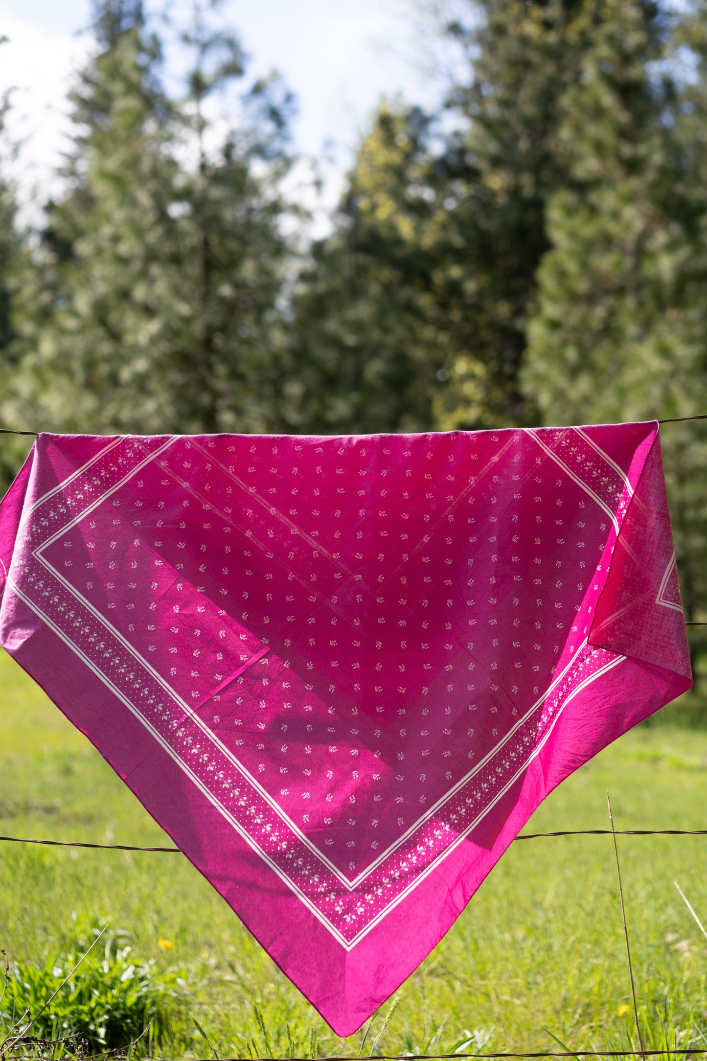 Laura Ashley Cotton Scarf