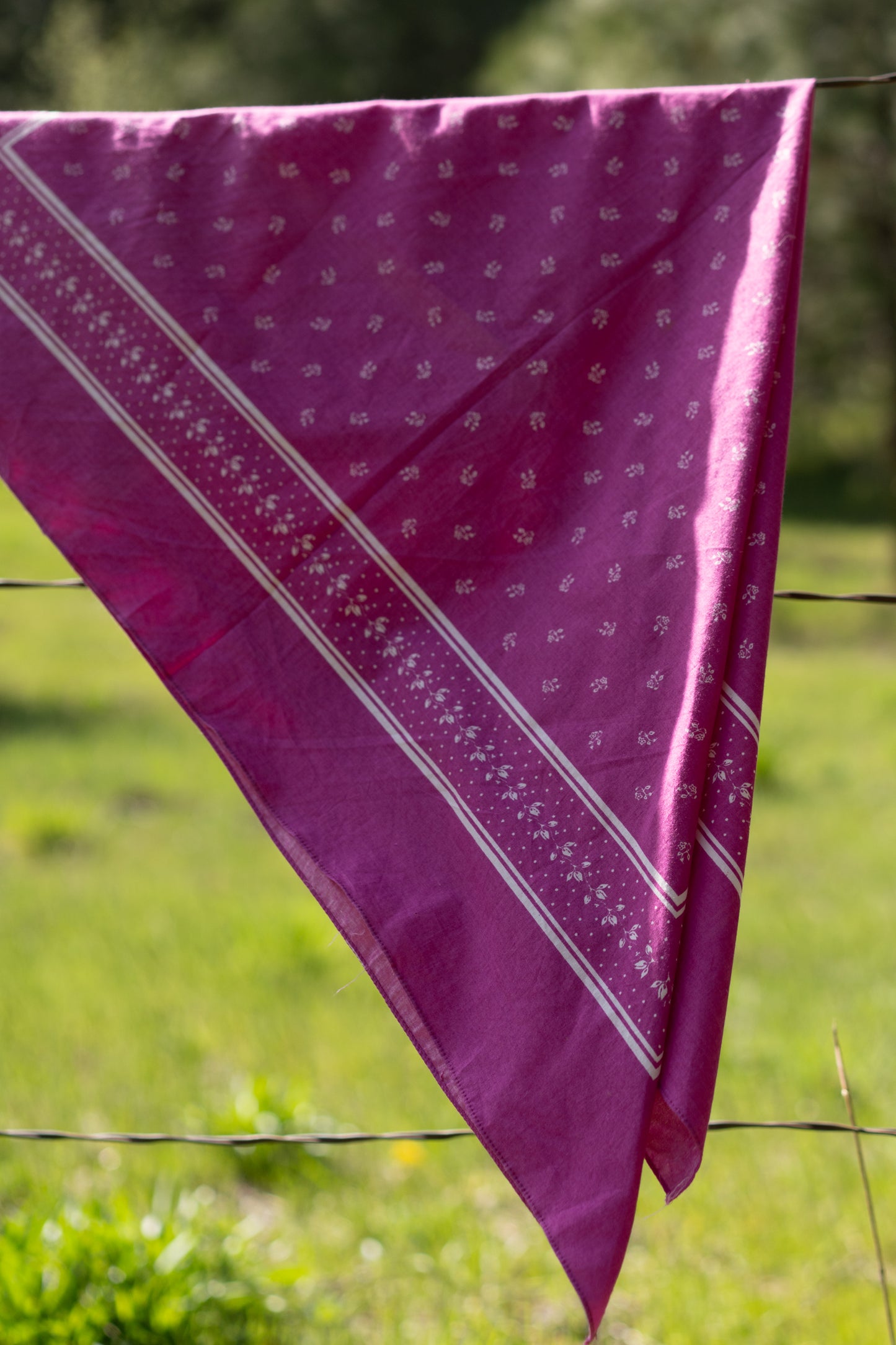 Laura Ashley Cotton Scarf