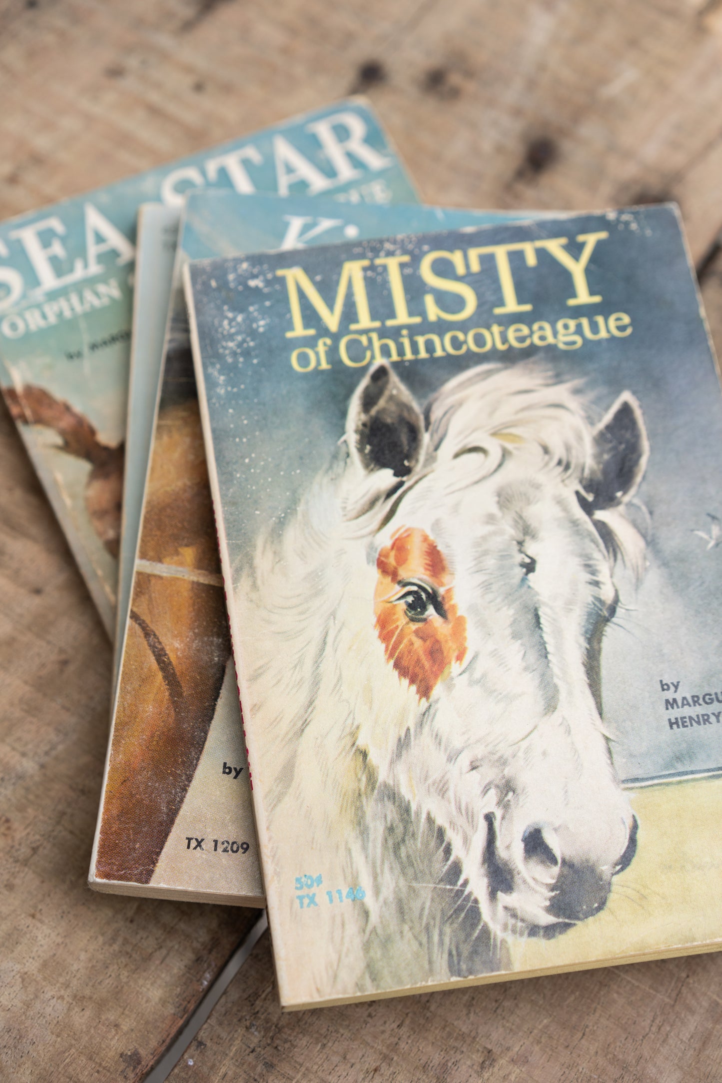 Marguerite Henry Horse Book Set