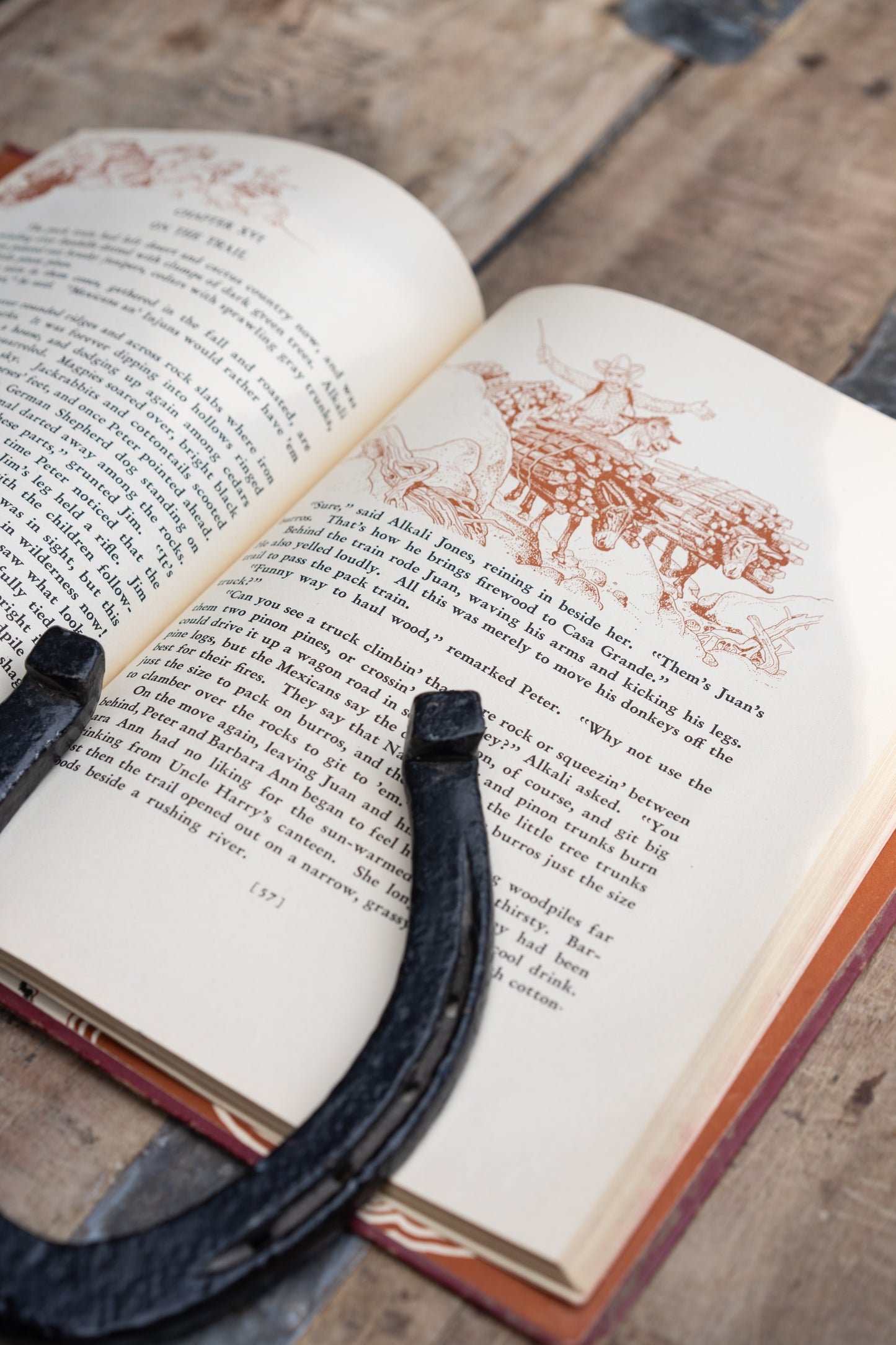 The Book of Cowboys