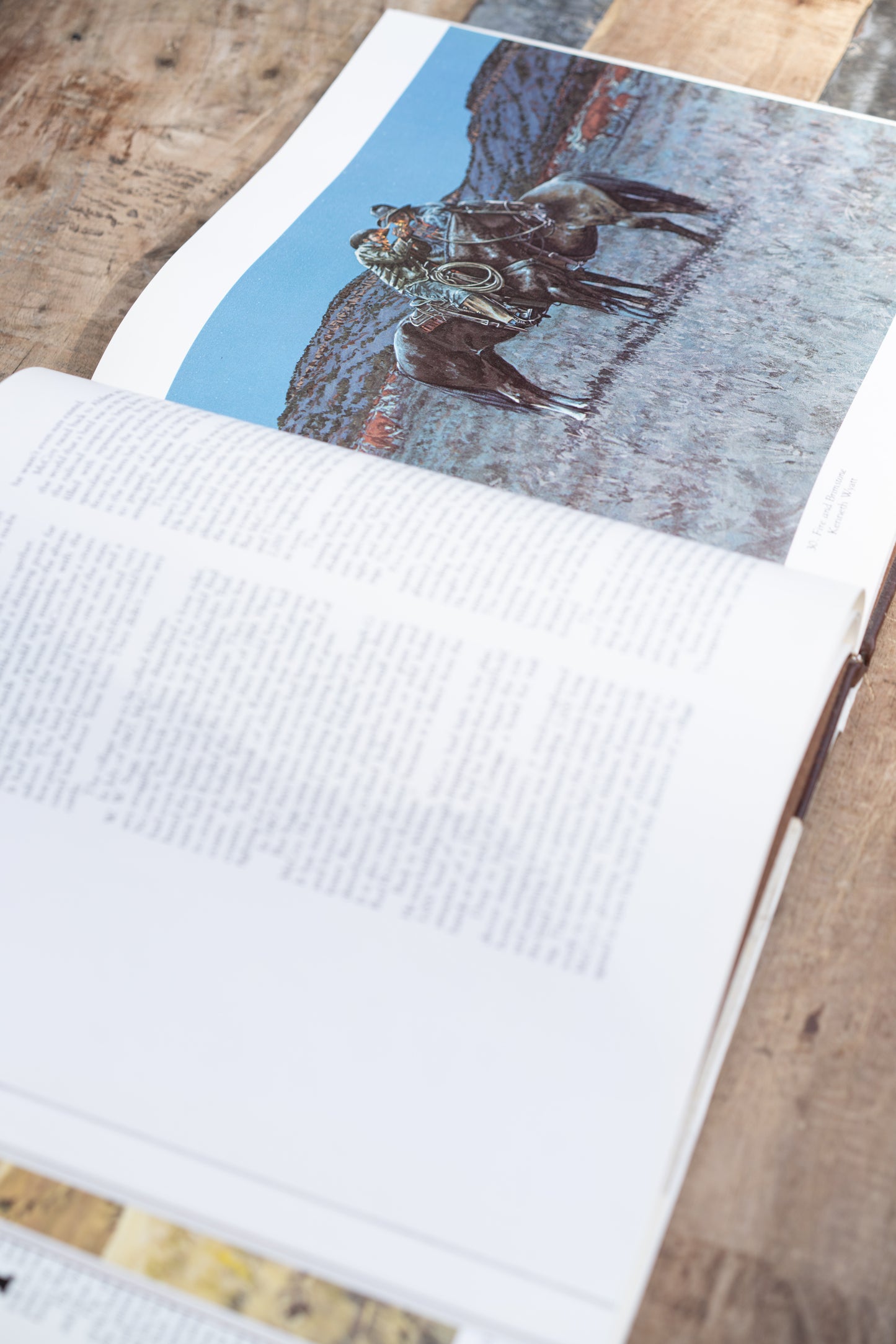 American Cowboy Book