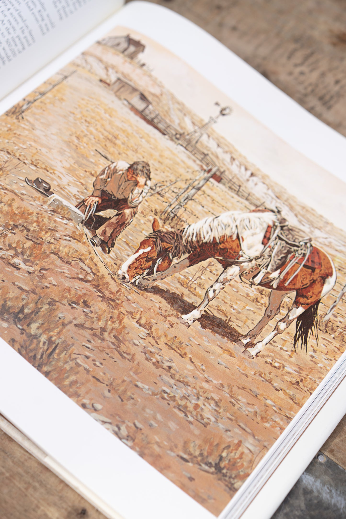 American Cowboy Book