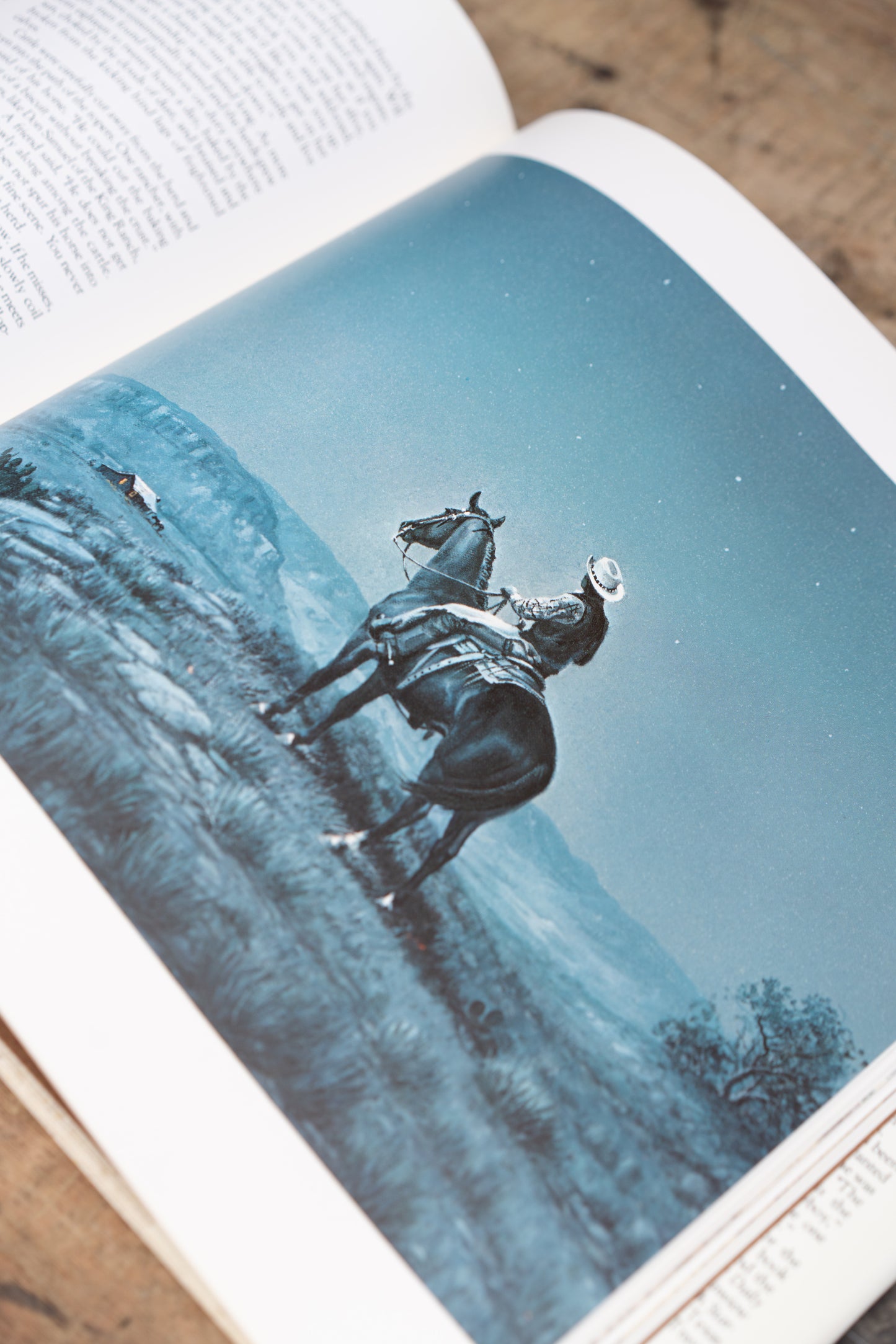 American Cowboy Book