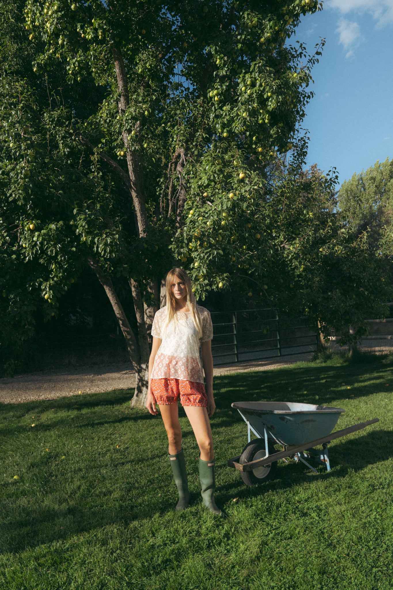 The Prairie Bloomers