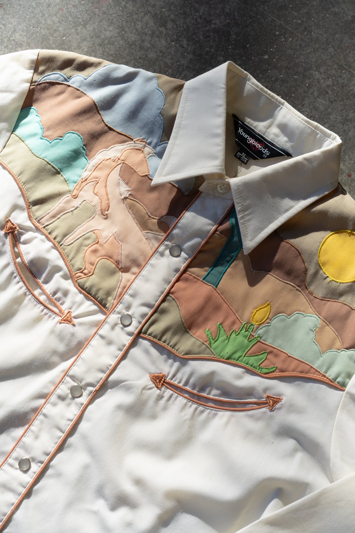 Youngbloods Horse & Desert Appliqué Western Shirt