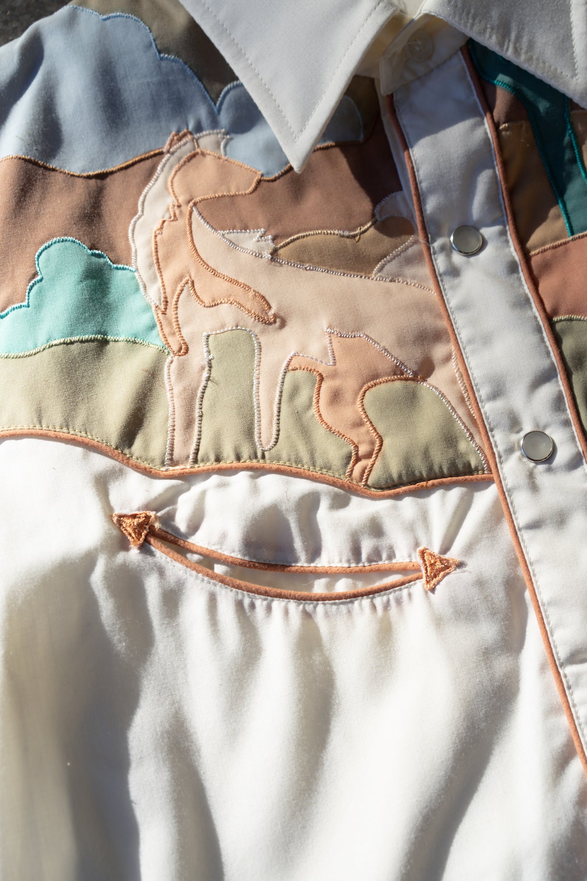 Youngbloods Horse & Desert Appliqué Western Shirt