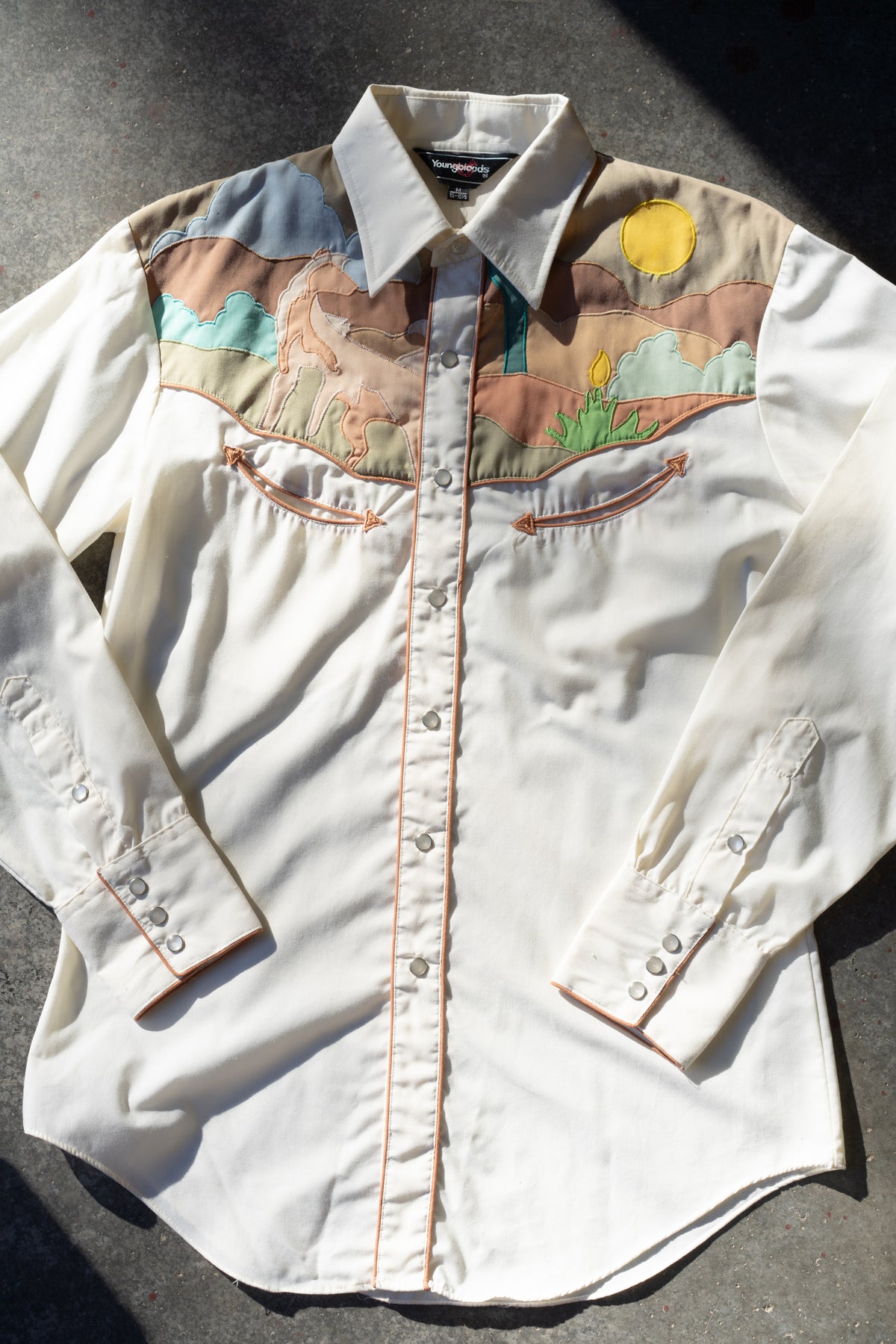 Youngbloods Horse & Desert Appliqué Western Shirt