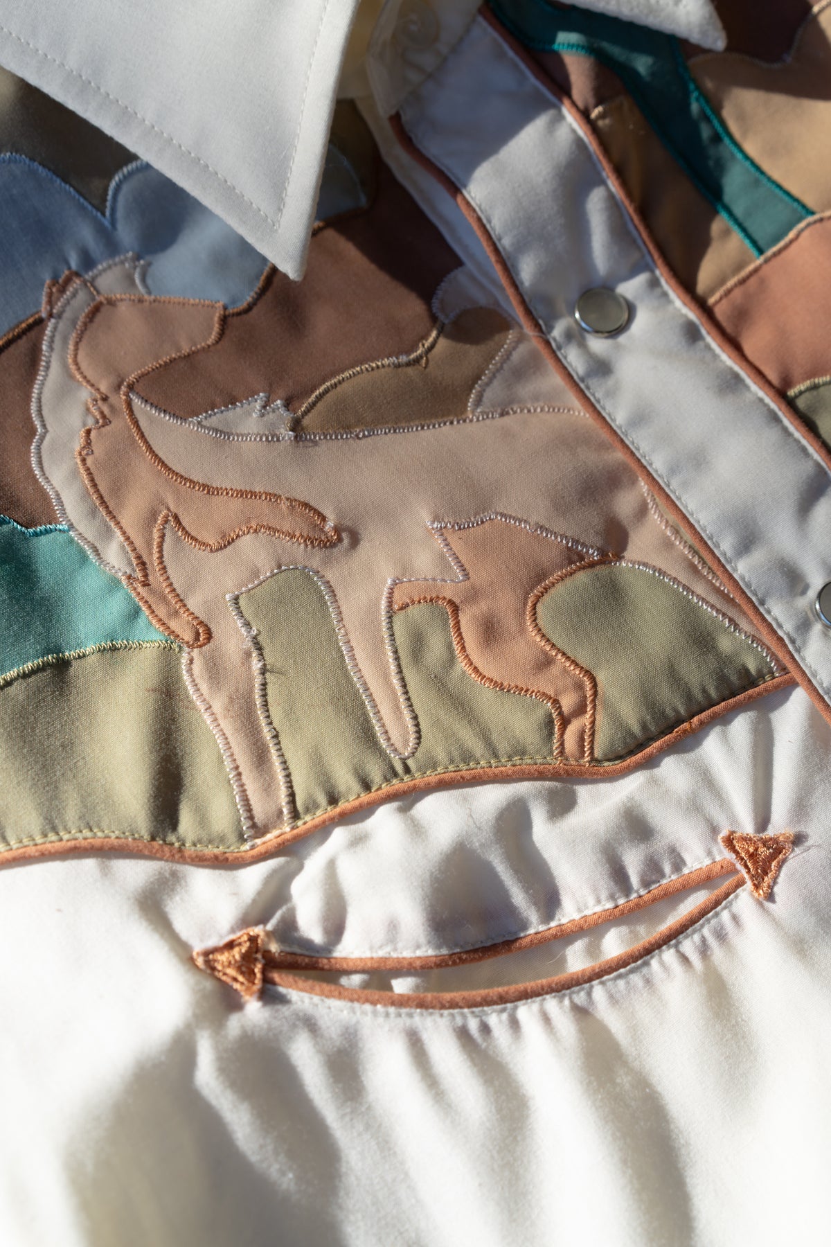 Youngbloods Horse & Desert Appliqué Western Shirt