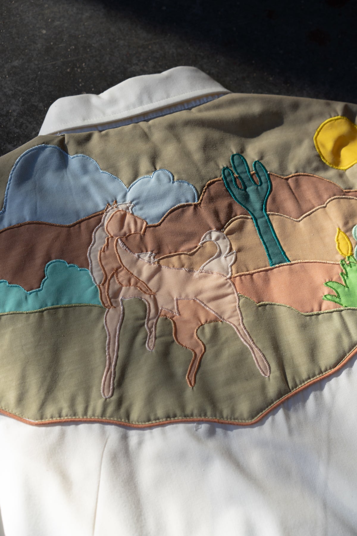Youngbloods Horse & Desert Appliqué Western Shirt