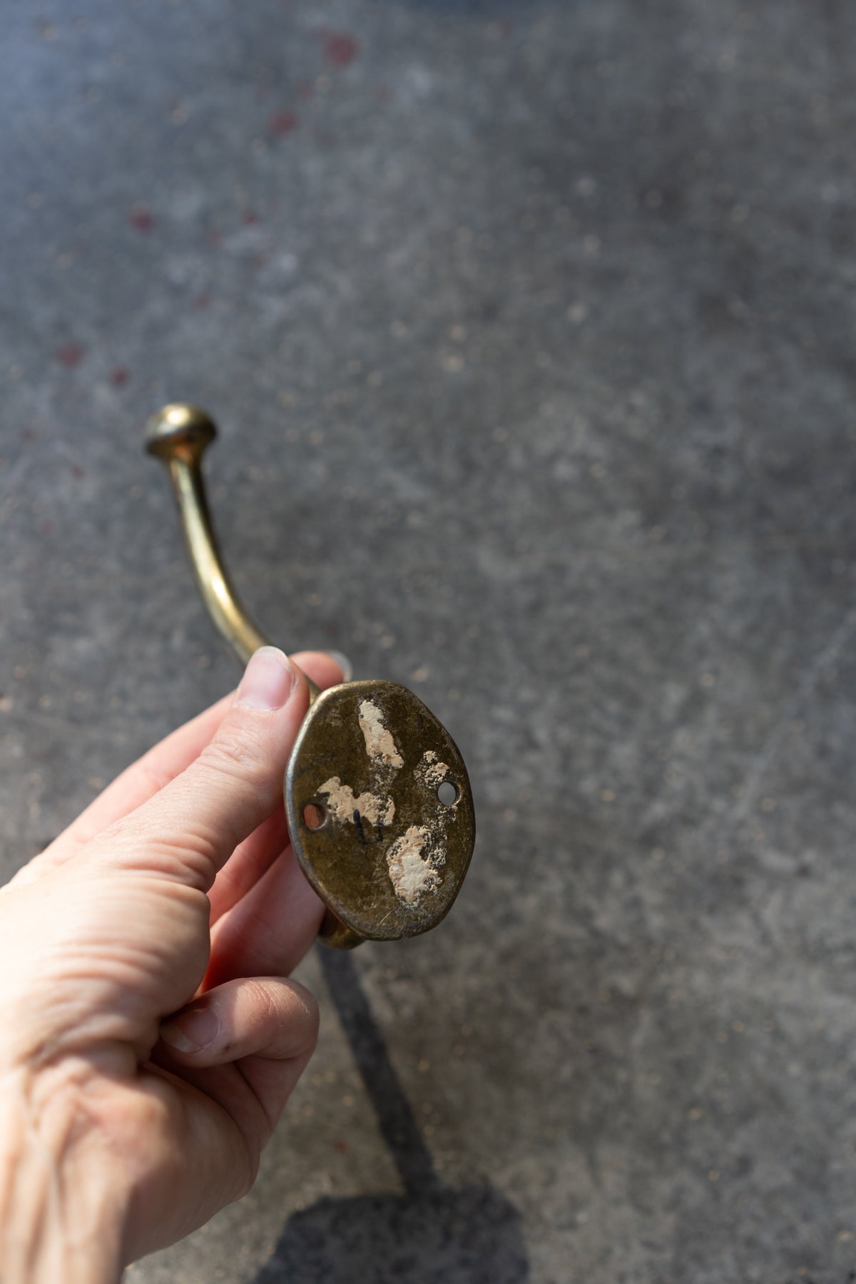 Brass Double Wall Hook