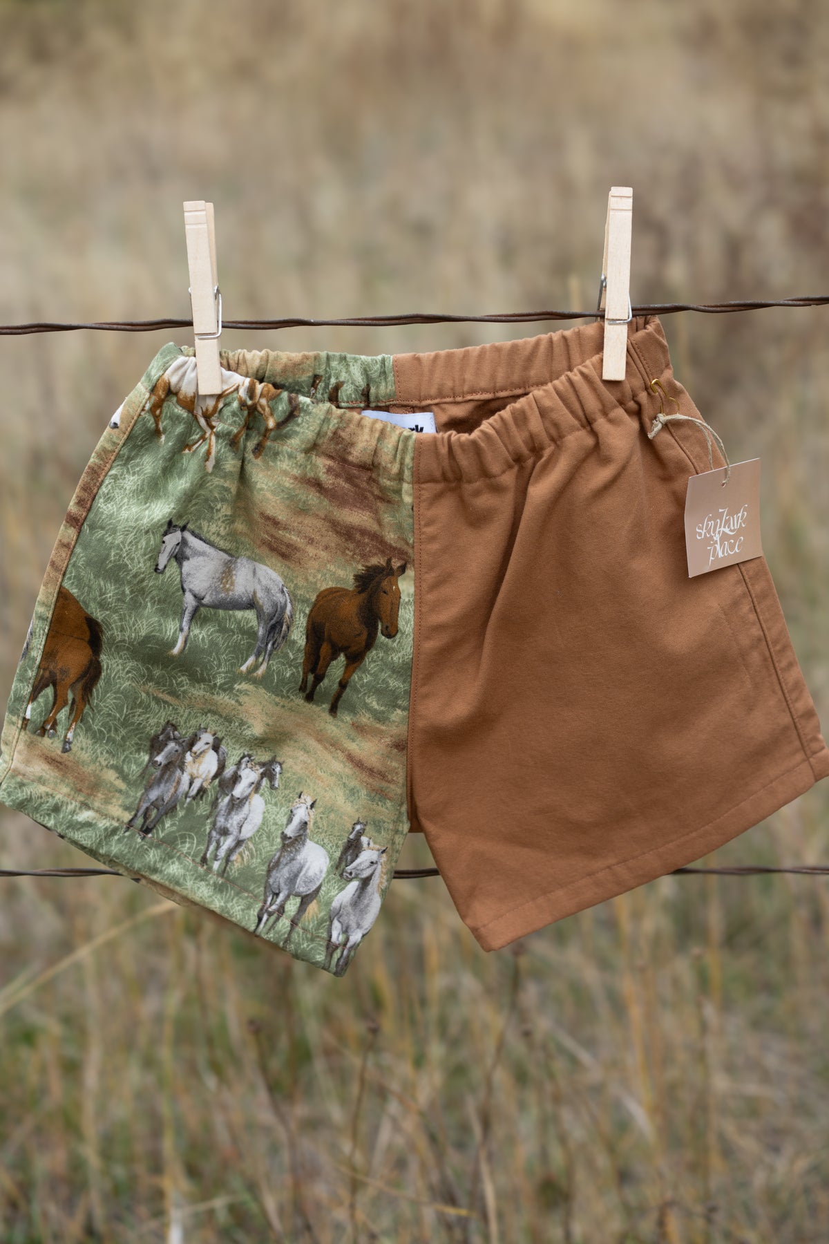 Horse Shorts | Multiple Sizes