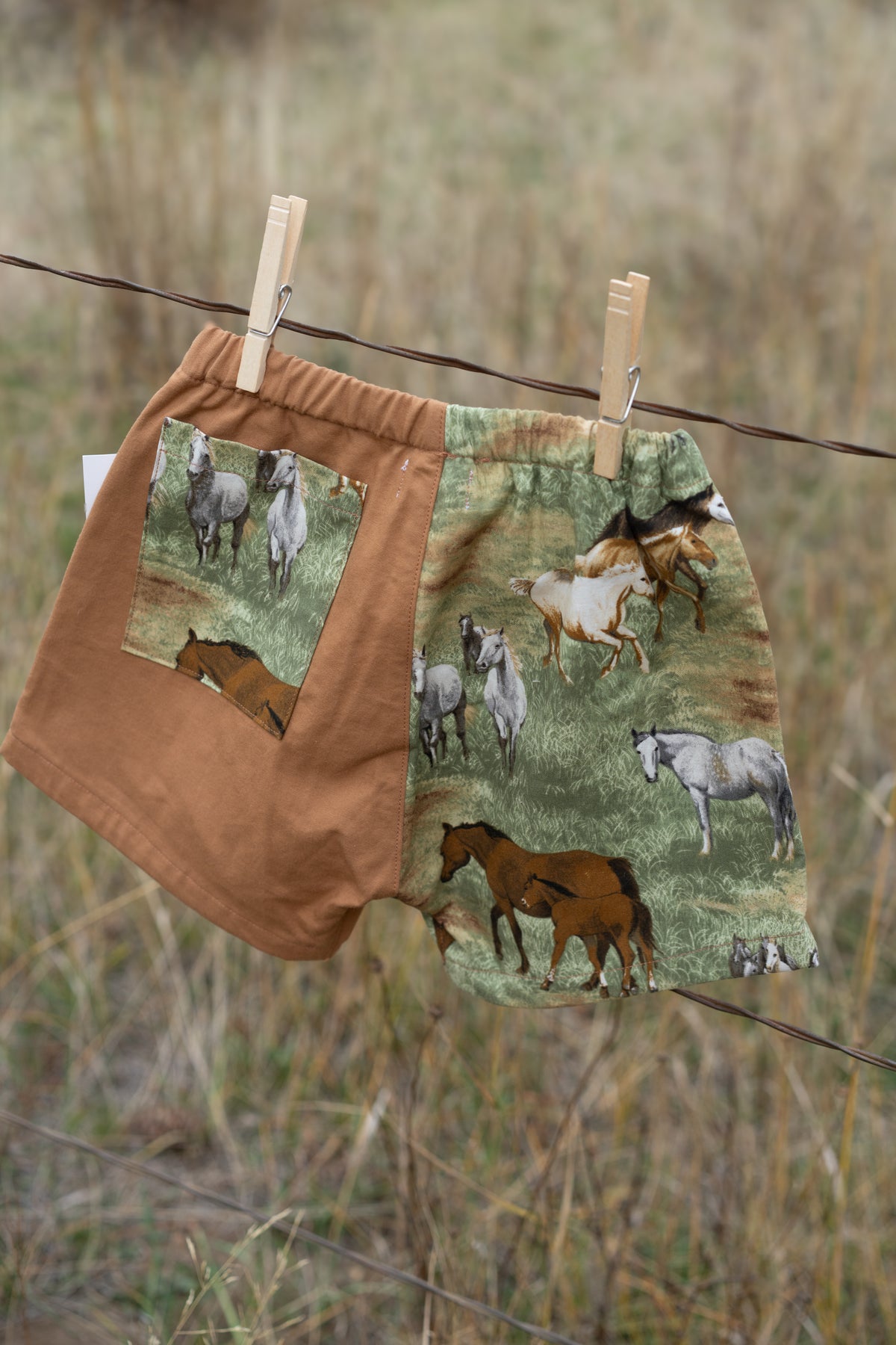 Horse Shorts | Multiple Sizes