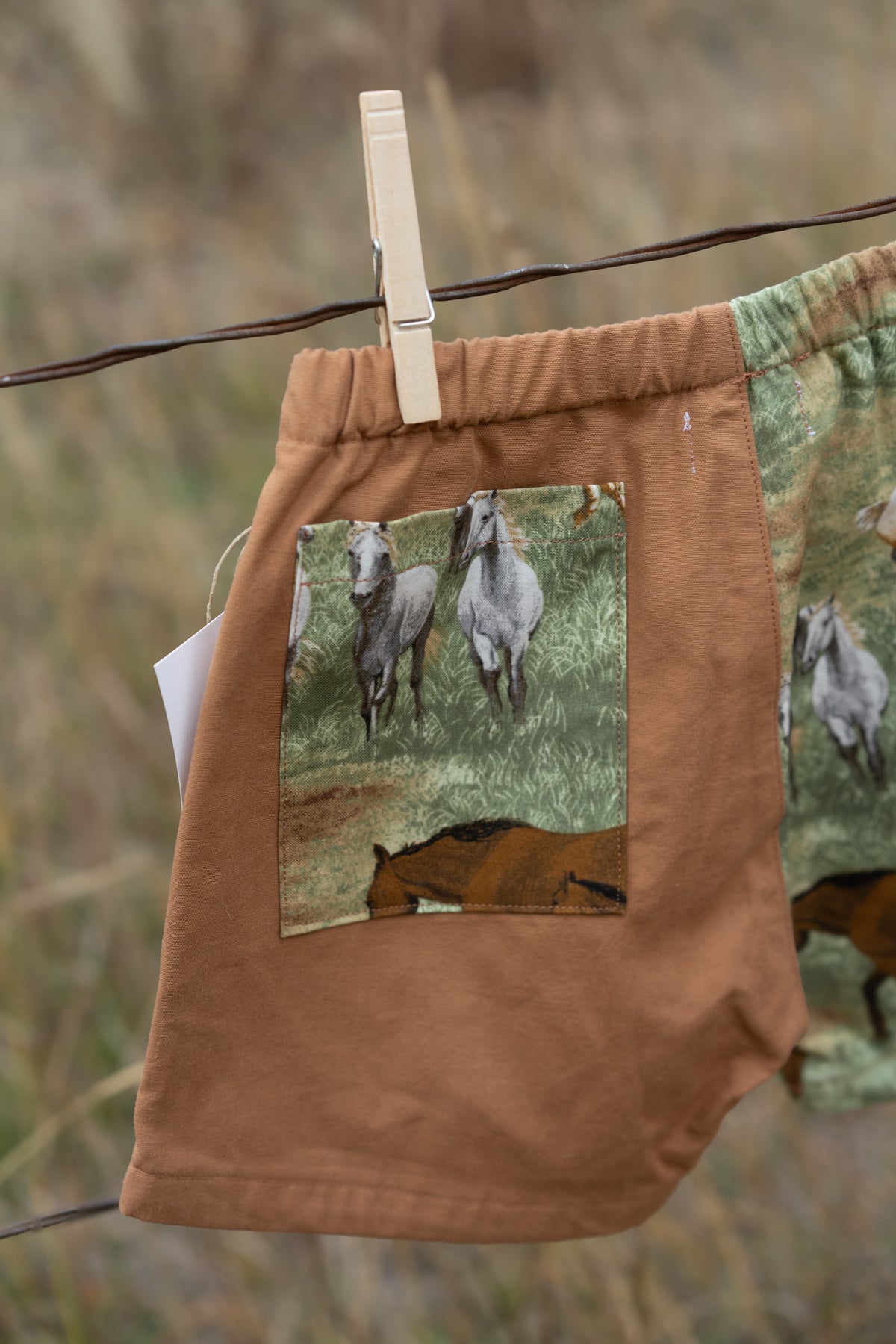 Horse Shorts | Multiple Sizes