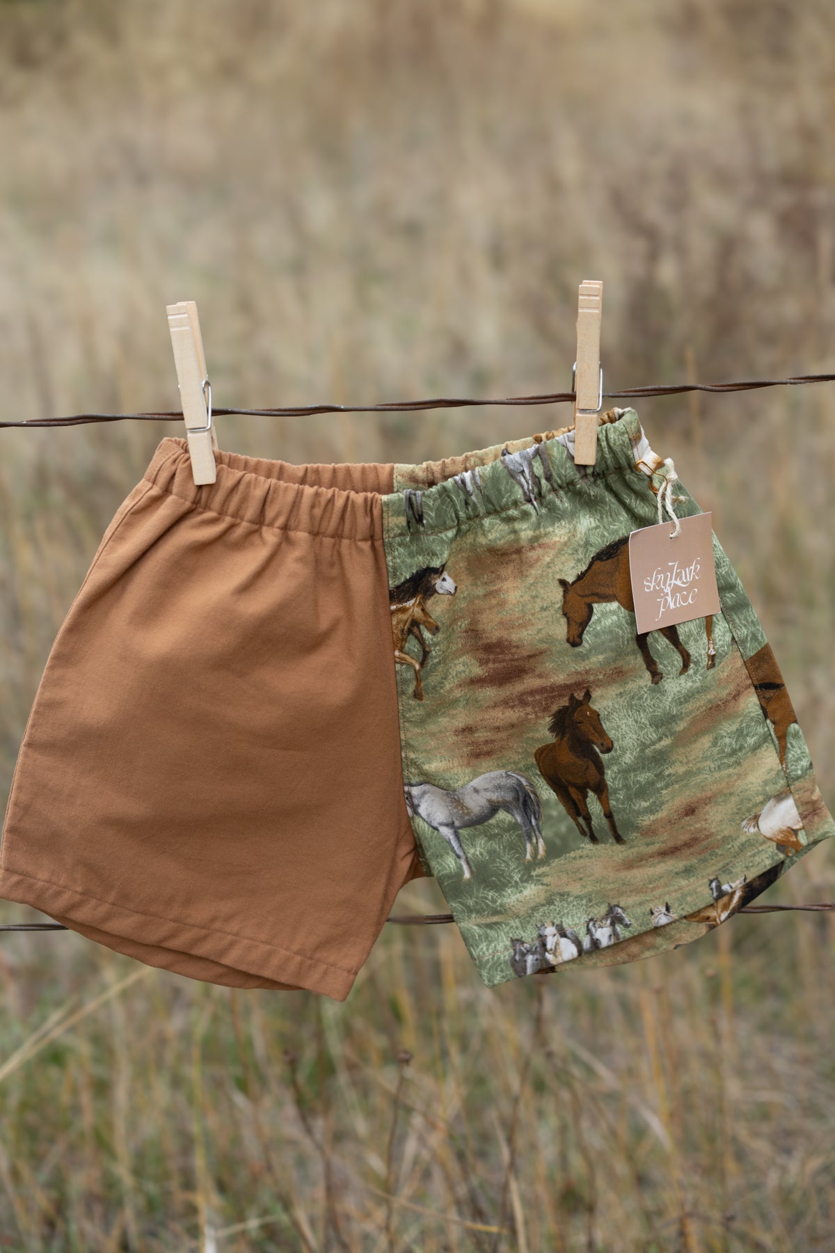 Horse Shorts | Multiple Sizes