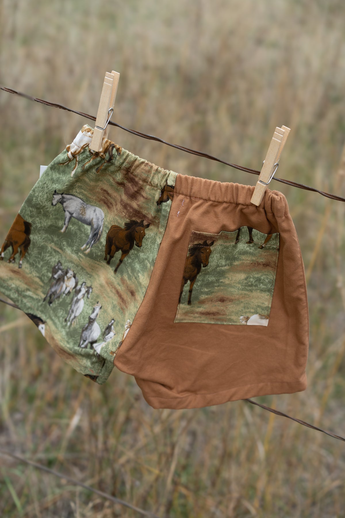 Horse Shorts | Multiple Sizes