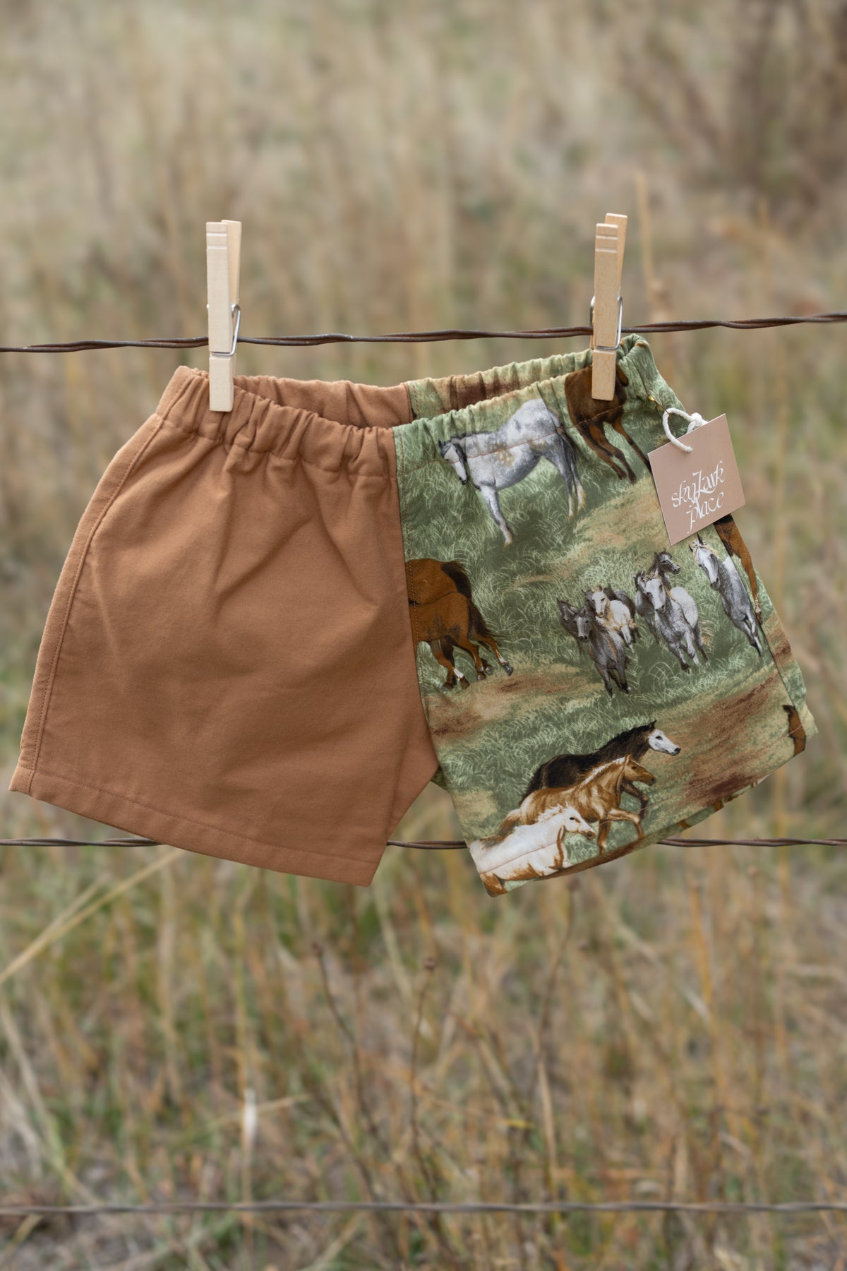 Horse Shorts | Multiple Sizes
