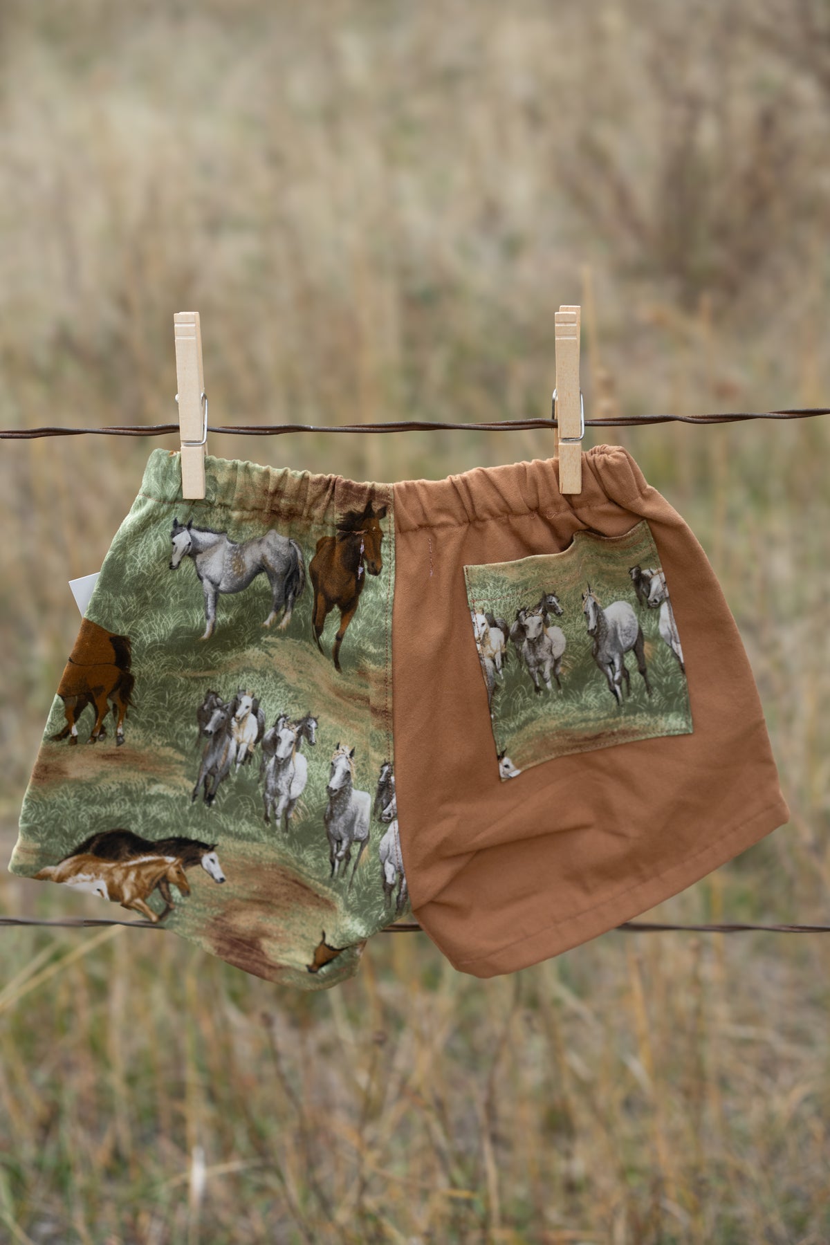 Horse Shorts | Multiple Sizes
