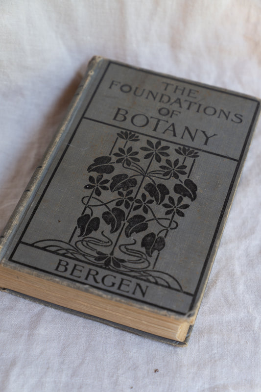 1901, The Foundations of Botany Book