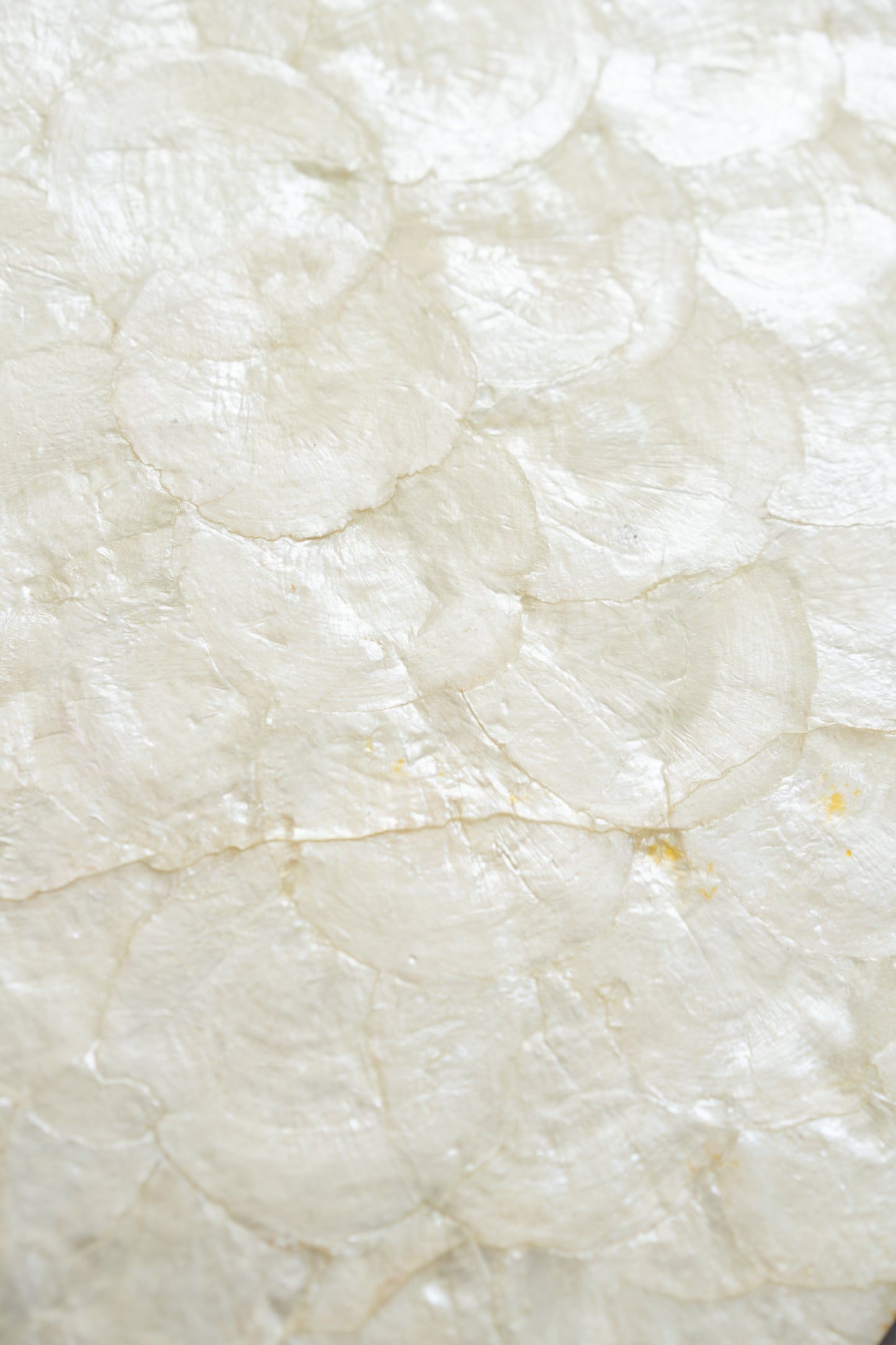 Capiz Shell Placemat — Natural Pearl Tone