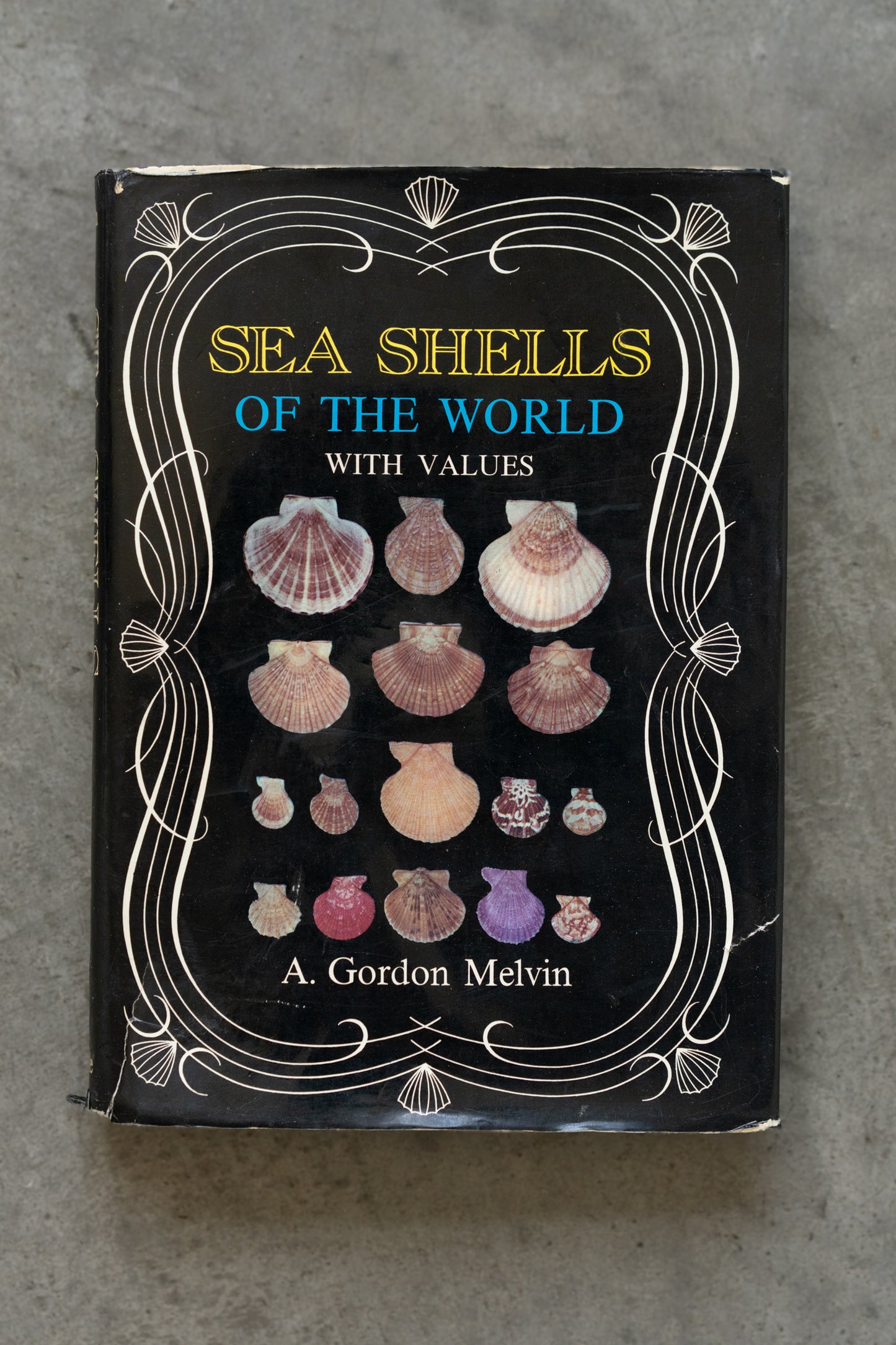 Sea Shells of the World Hardcover Reference Book (1970)