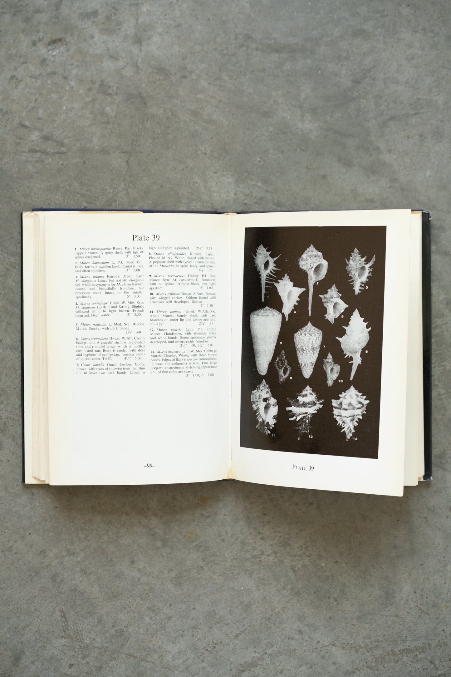 Sea Shells of the World Hardcover Reference Book (1970)