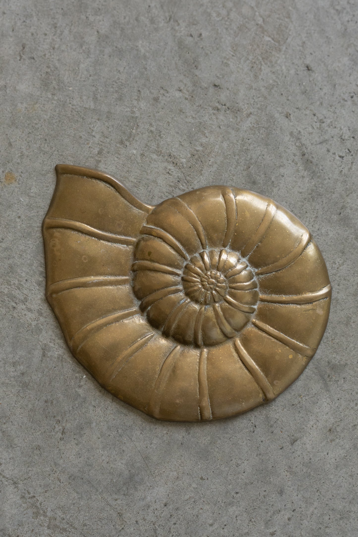 Brass Nautilus Wall Plaque