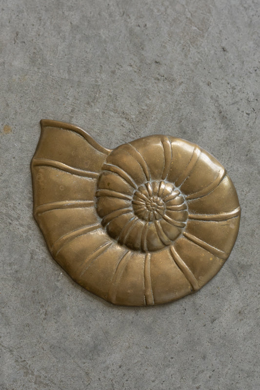 Brass Nautilus Wall Plaque
