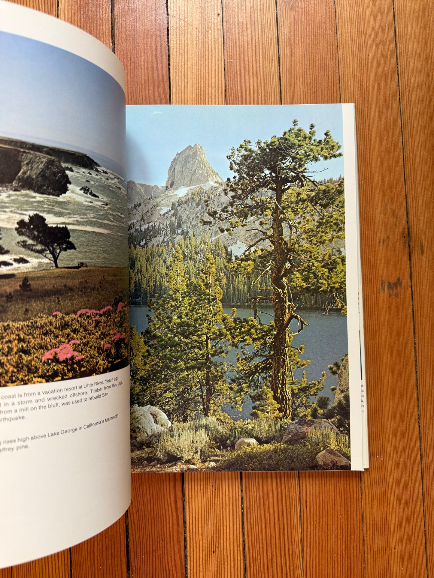 1971, The Pacific Coast | Large Coffee Table Book
