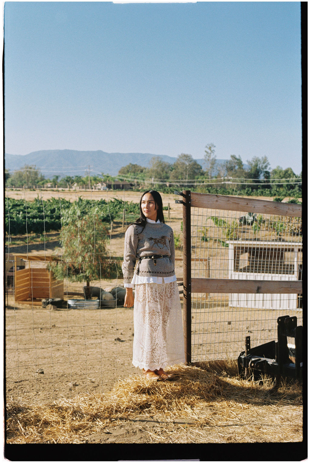Hickory Lace Skirt
