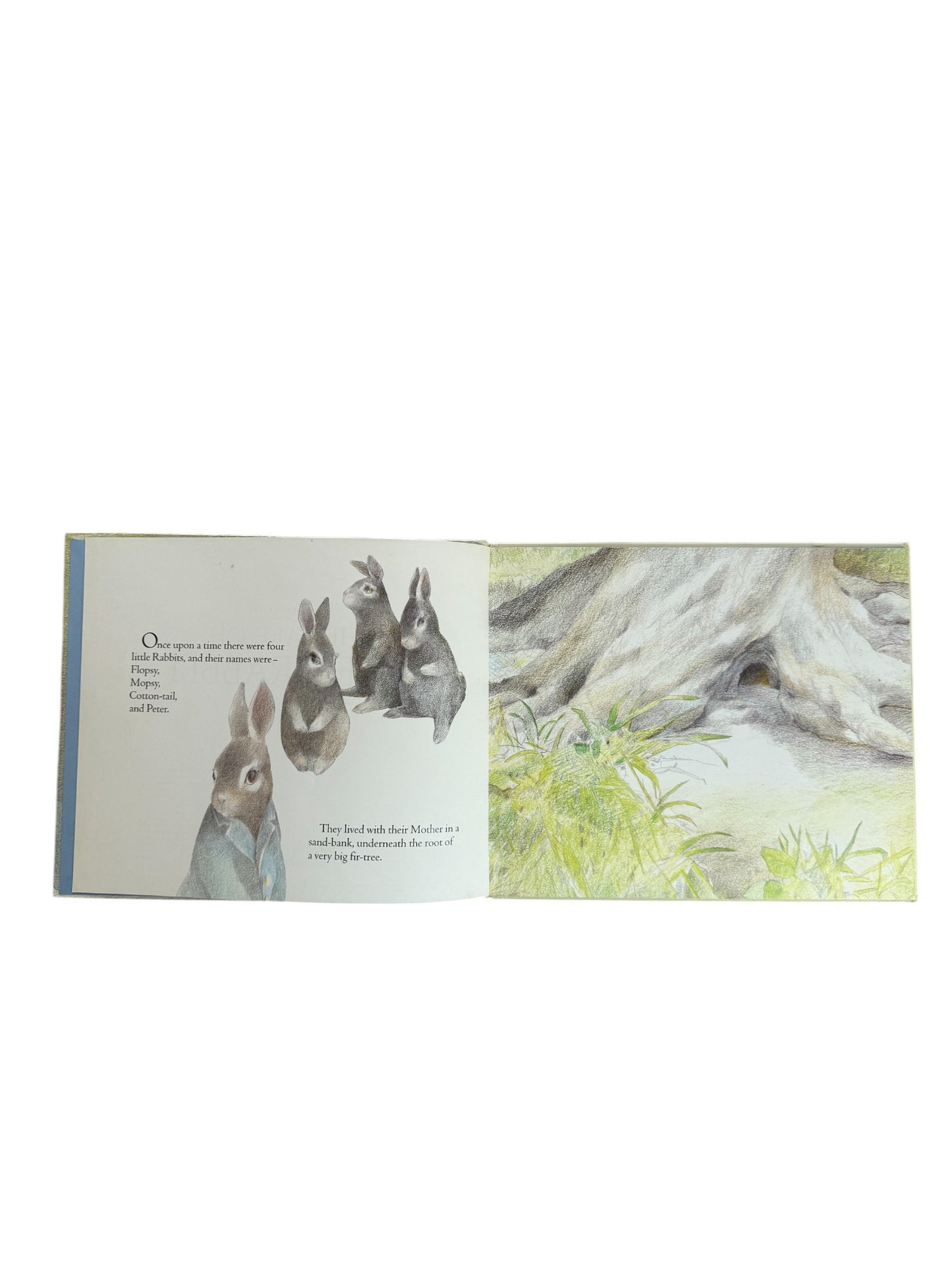 The Tale of Peter Rabbit by Beatrix Potter